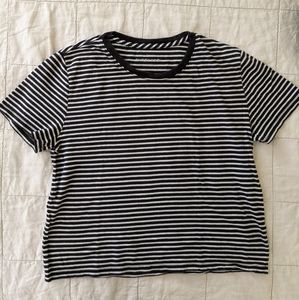 Everyone Cropped Square T